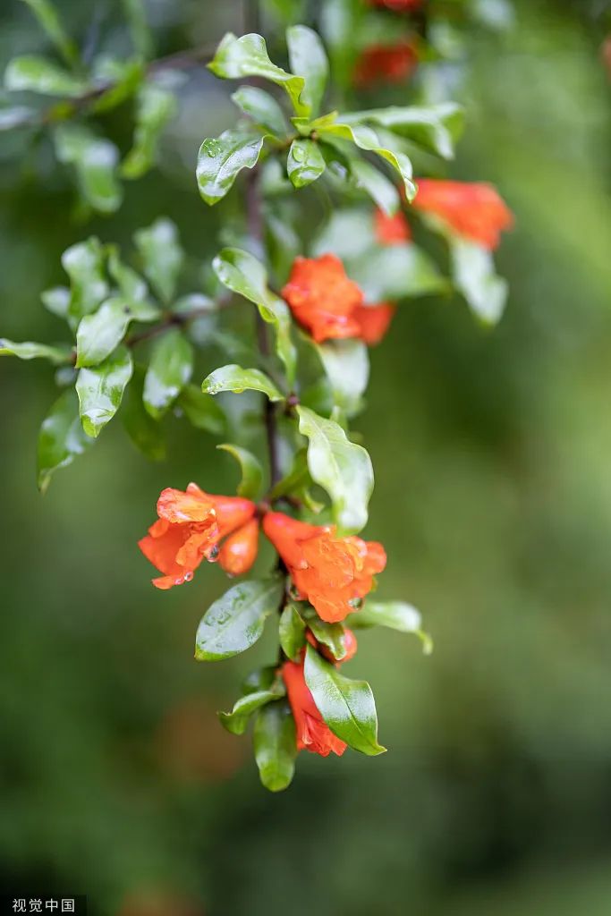 南宫NG28(中国集团)有限公司官网